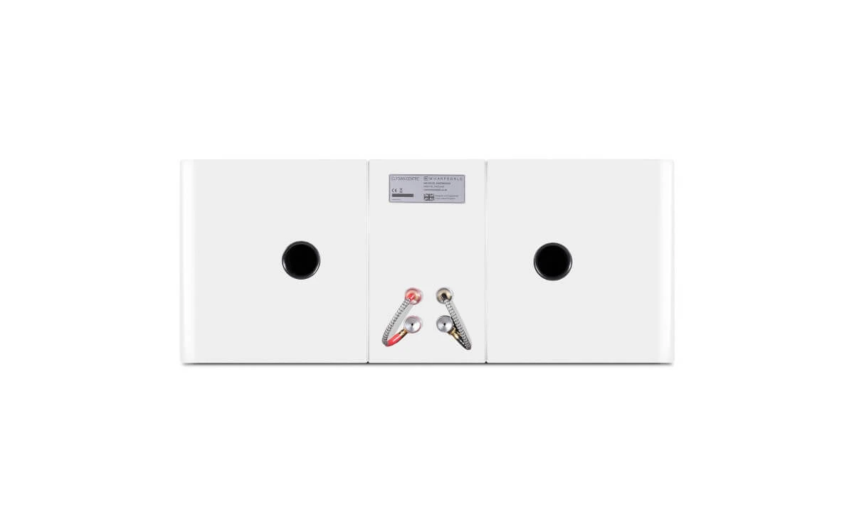 Wharfedale-Elysian-Center-white-rear-connection